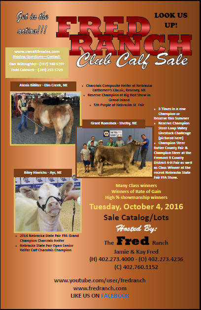 Club Calf Sale 2016